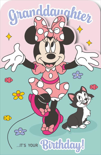 Picture of ITS YOUR BIRTHDAY MINNIE CARD